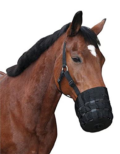 Die beste fressbremse pferd kerbl fressbremse maulkorb inkl halfter cob Bestsleller kaufen