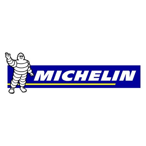 Fußluftpumpe MICHELIN 9503 Doppel-Fussluftpumpe, 7 bar