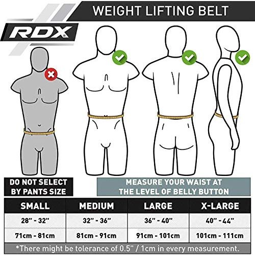Gewichthebergürtel RDX für Gym Powerlifting Training