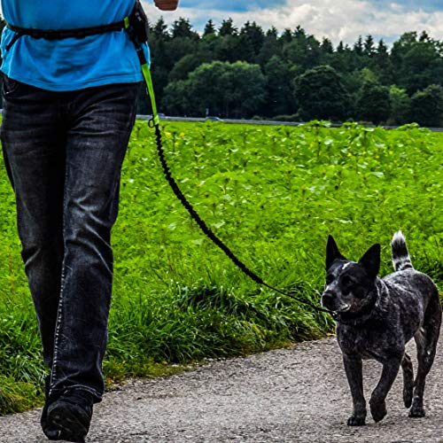 Hunde-Joggingleine Hundefreund Joggingleine für Hunde bis 15 kg