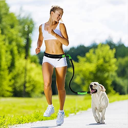 Hunde-Joggingleine Leisegrün Joggingleine für Hunde bis 55 kg