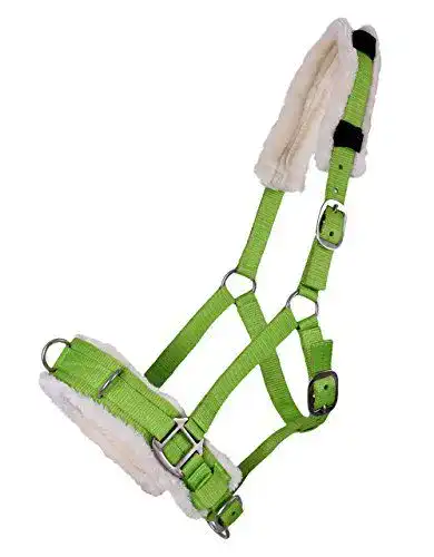 Kappzaum ARBO-INOX Halfter Nylonhalfter Longierhalfter QHP