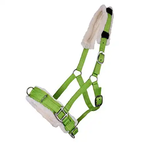 Kappzaum ARBO-INOX Halfter Nylonhalfter Longierhalfter QHP