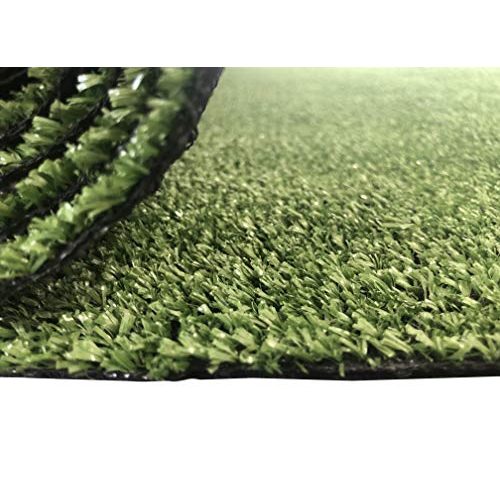 Kunstrasen Carpeto Rugs Rasenteppich Höhe: 7 mm 200 x 300 cm