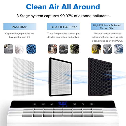 Luftreiniger Büro Levoit Luftreiniger H13 HEPA Filter für Allergiker
