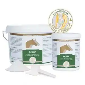 Die beste MSM Pferd 2026 Test Bestseller MSM Pferd
