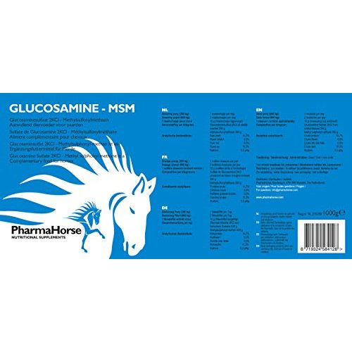 MSM Pferd PharmaHorse Glucosamin & MSM | ausgewogen