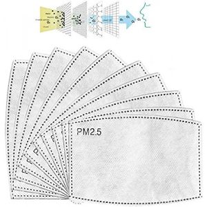PM-2.5-Filter