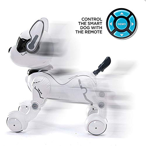 Roboter für Kinder Top Race Fernbedienung Hund Smart Mini Pet