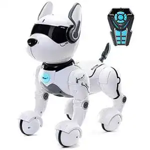 Roboter für Kinder Top Race Fernbedienung Hund Smart Mini Pet