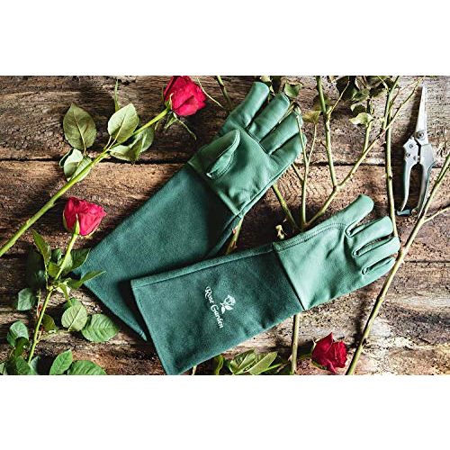 Rosenhandschuhe ACE 1 Paar Rose Garden Leder-Gartenhandschuhe