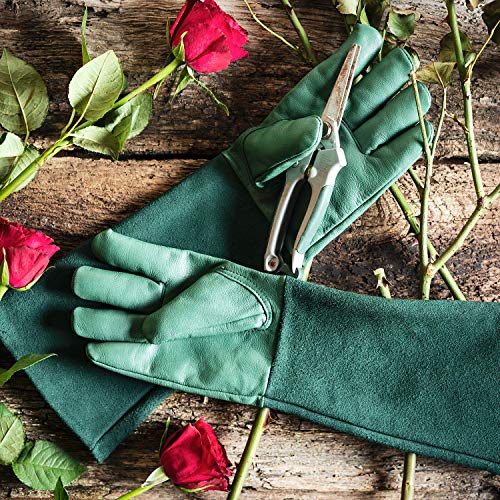 Rosenhandschuhe ACE 1 Paar Rose Garden Leder-Gartenhandschuhe