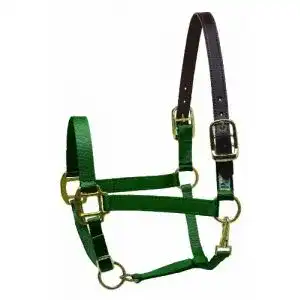 Sicherheitshalfter Perri’s Premium Nylon Pferd Hunter Green