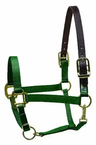 Sicherheitshalfter Perri’s Premium Nylon Pferd Hunter Green