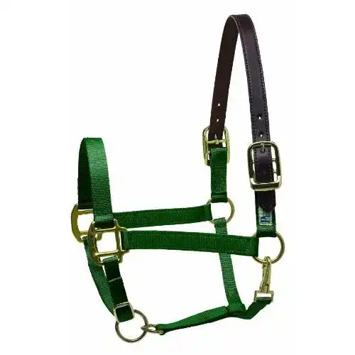 Sicherheitshalfter Perri’s Premium Nylon Pferd Hunter Green