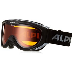 Skibrille Alpina FreeSpirit, schwarz transparent dlh One size