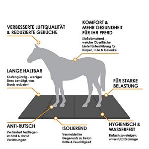 Stallmatten Pferde Meisterei Gummi-Stallmatte – Puzzlesystem