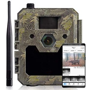 Wildkamera mit SIM-Karte icuserver Wildtierkamera icucam 4G / LTE