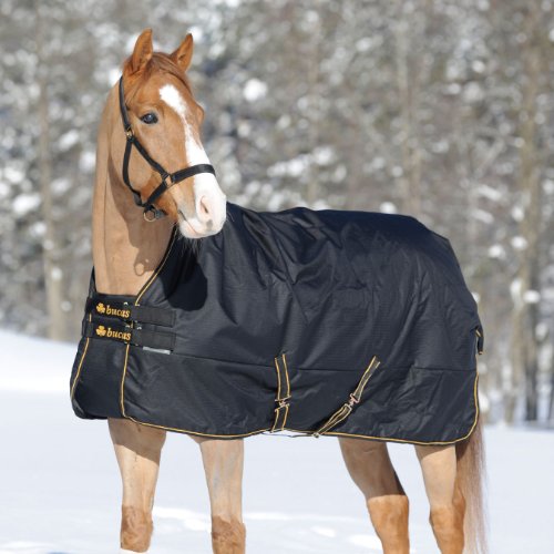 Die beste winterdecke pferd bucas irish turnout extra high neck schwarz Bestsleller kaufen