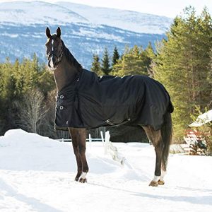 Winterdecke Pferd HORZE Nevada Winterdecke Weidedecke