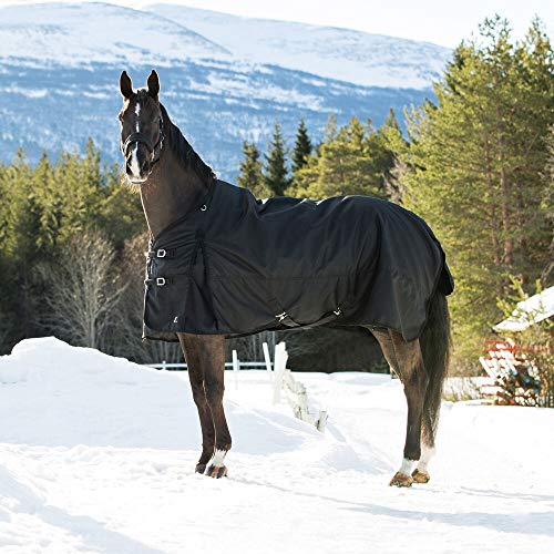 Die beste winterdecke pferd horze nevada winterdecke weidedecke Bestsleller kaufen