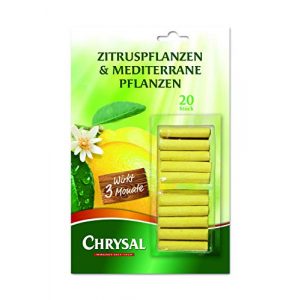 Zitrusdünger Chrysal Zitrus- & Mediterrane Pflanzen Düngestäbchen 20 Stück