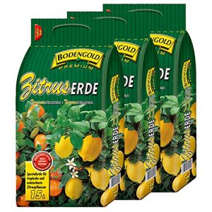 Zitruserde Bodengold Premium 3 Sack Bodengold á 15 L = 45 Liter Spezialerde für Zitrusfrüchte