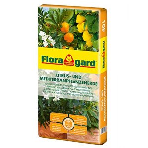 Zitruserde Floragard Zitrus-und Mediterranpflanzenerde 40 Liter Blumenerde, Erdfarben