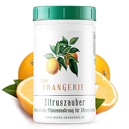 Zitruserde Meine Orangerie Zitrus-Pflegepaket Mezzo: Beste + starker Zitrusdünger