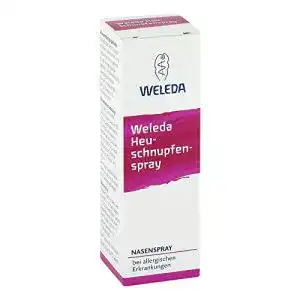Allergie-Nasenspray HEUSCHNUPFENSPRAY 20 ml