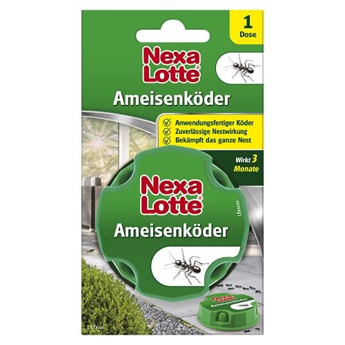 Die beste ameisenkoederdose nexa lotte ameisenkoeder n ameisen ex 1 dose Bestsleller kaufen