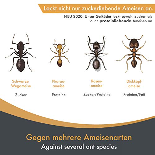 Ameisenköderdose Panteer ® – 4 Ameisenköder