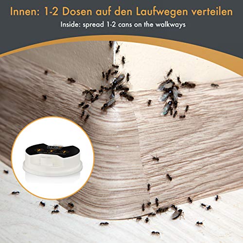Ameisenköderdose Panteer ® – 4 Ameisenköder