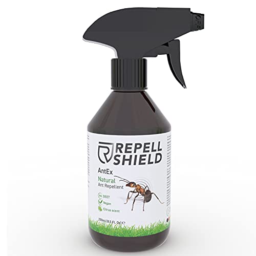 Die beste ameisenspray repellshield natuerliches mittel gegen ameisen Bestsleller kaufen