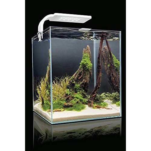 Die beste aquarium aquael 114958 shrimp set smart 2 20 weiss 4630 g Bestsleller kaufen