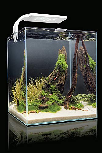 Die beste aquarium aquael 114958 shrimp set smart 2 20 weiss 4630 g Bestsleller kaufen