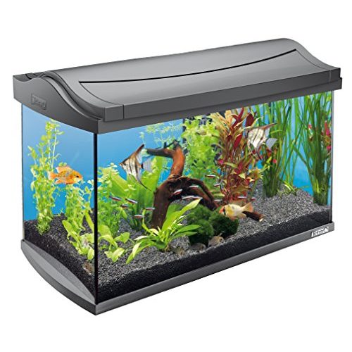 Aquarium Tetra AquaArt LED -Komplett-Set 60 Liter – inklusive LED