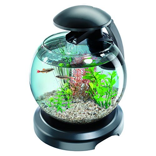 Die beste aquarium tetra betta cascade globe Bestsleller kaufen