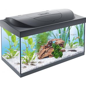 Aquarium Tetra Starter Line 54 L Komplett-Set mit LED-Beleuchtung