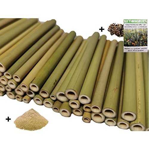 Bambusrohre aktiongruen Bambusröhrchen (70 Stück) 12cm