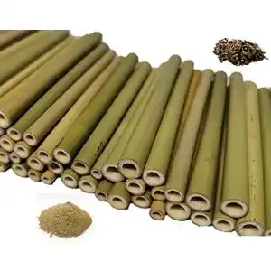 Bambusrohre aktiongruen Bambusröhrchen (70 Stück) 12cm