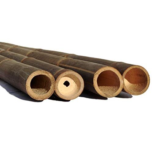 Die beste bambusrohre bambus discount com 1 stueck wulung bambusrohr Bestsleller kaufen