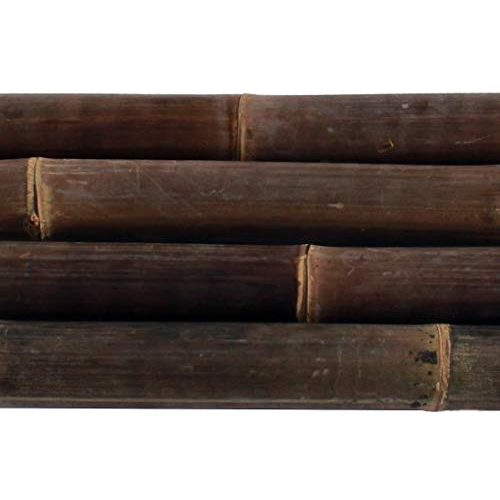 Bambusrohre bambus-discount.com 1 Stück Wulung Bambusrohr