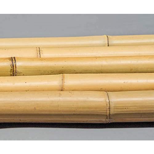 Bambusrohre bambus-discount.com 10er Set Bambusrohr gelb