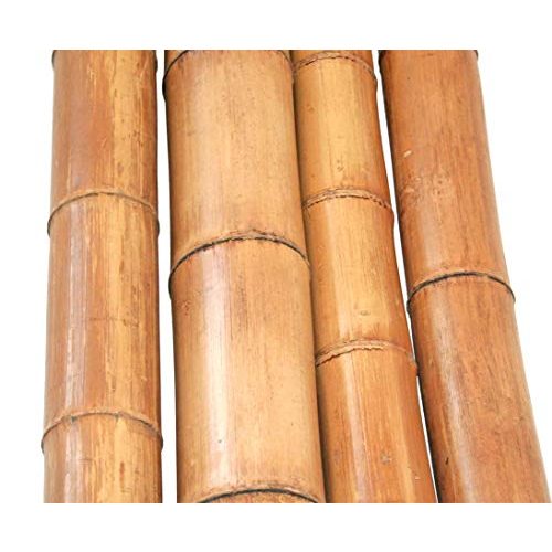 Bambusrohre Bambusrohr 300cm gelbbraun Durch. 8 bis 10cm