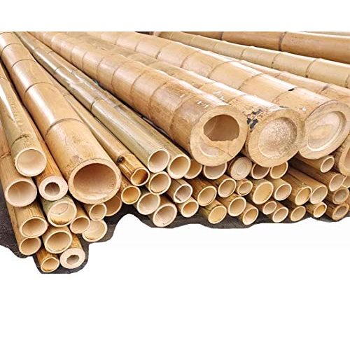 Bambusrohre Bambusrohr 300cm gelbbraun Durch. 8 bis 10cm