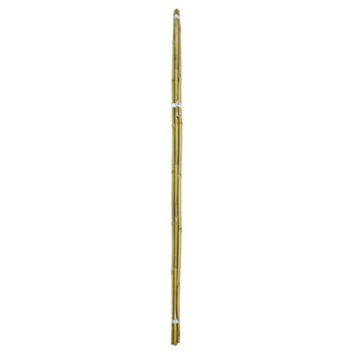 Die beste bambusrohre daro deko bambusrohr 1 buendel 5 staeben 150cm Bestsleller kaufen