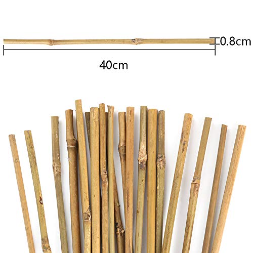 Bambusrohre Pllieay natürliche Dicke Bambuspfähle 40CM