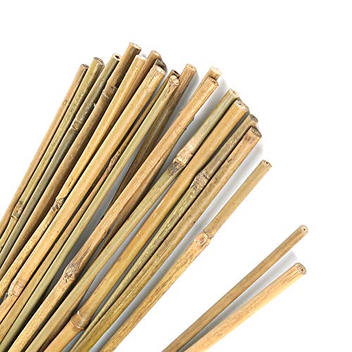 Die beste bambusrohre pllieay natuerliche dicke bambuspfaehle 40cm Bestsleller kaufen