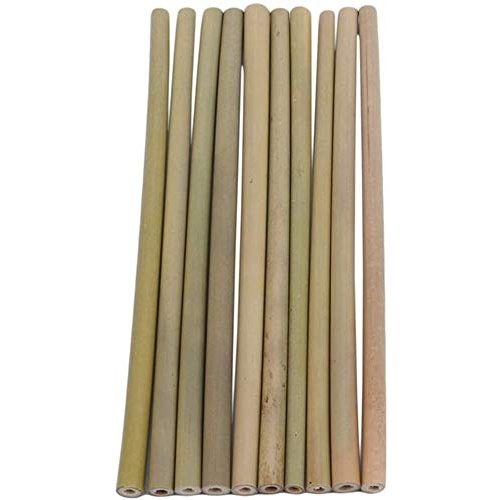 Bambusrohre Super Idee 50 Stück Bambusröhrchen wasserdicht